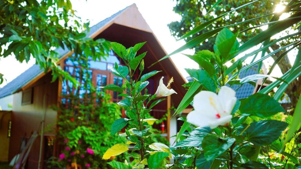 Hình ảnh Phòng 03 – Vip Garden 3 tại Đồng Gió Phước Hải